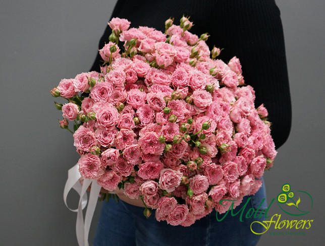 Trandafir de tufă roz /1 ramura foto